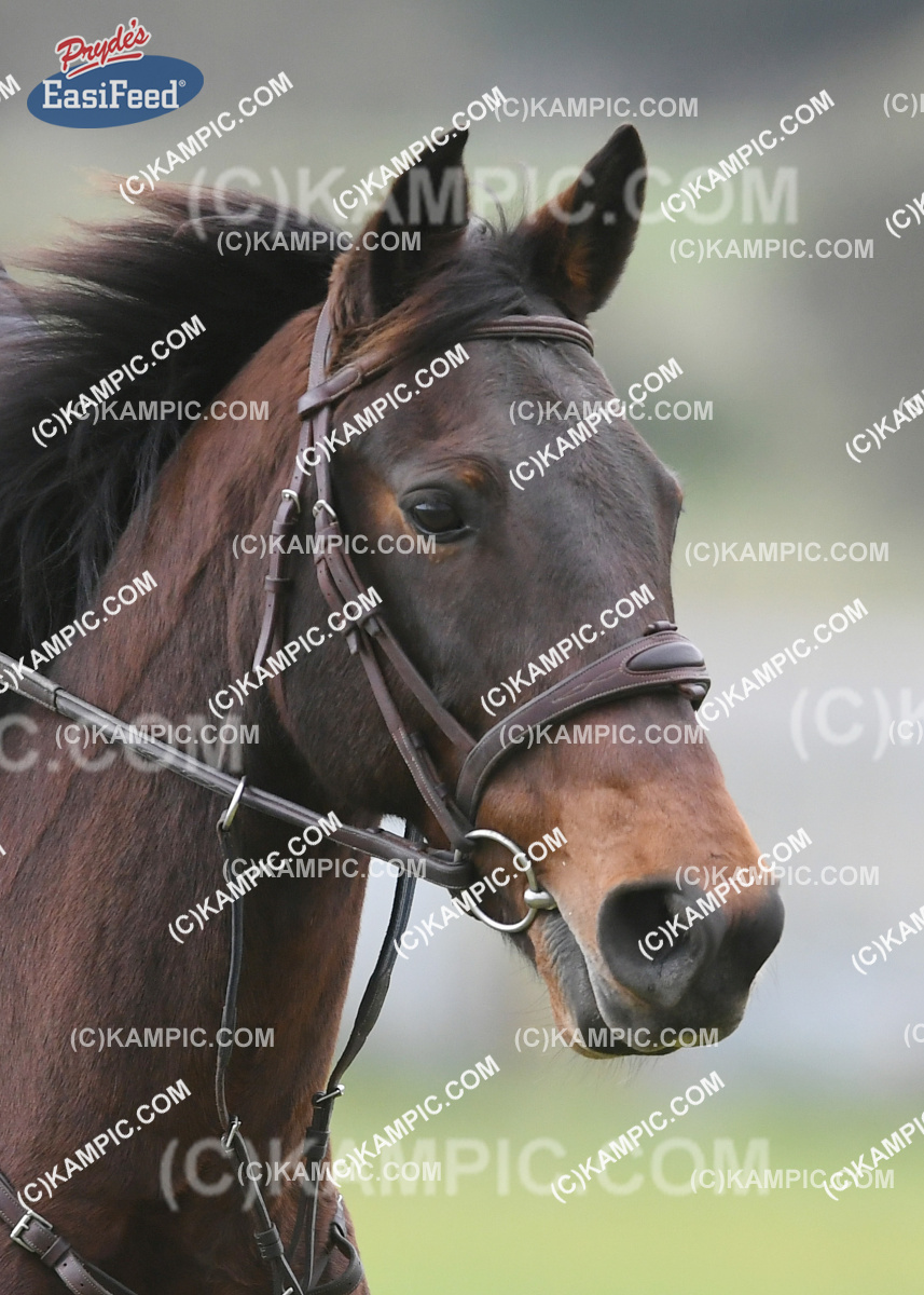 KM_180512_0864