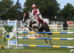 Pony Club Teams