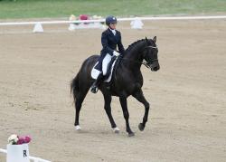 3 Star Eventing Dressage