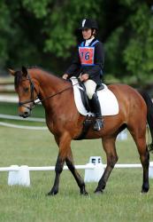 Dressage