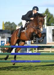 Horse Futurity