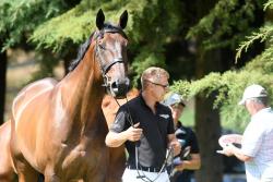 World Cup Trot Up