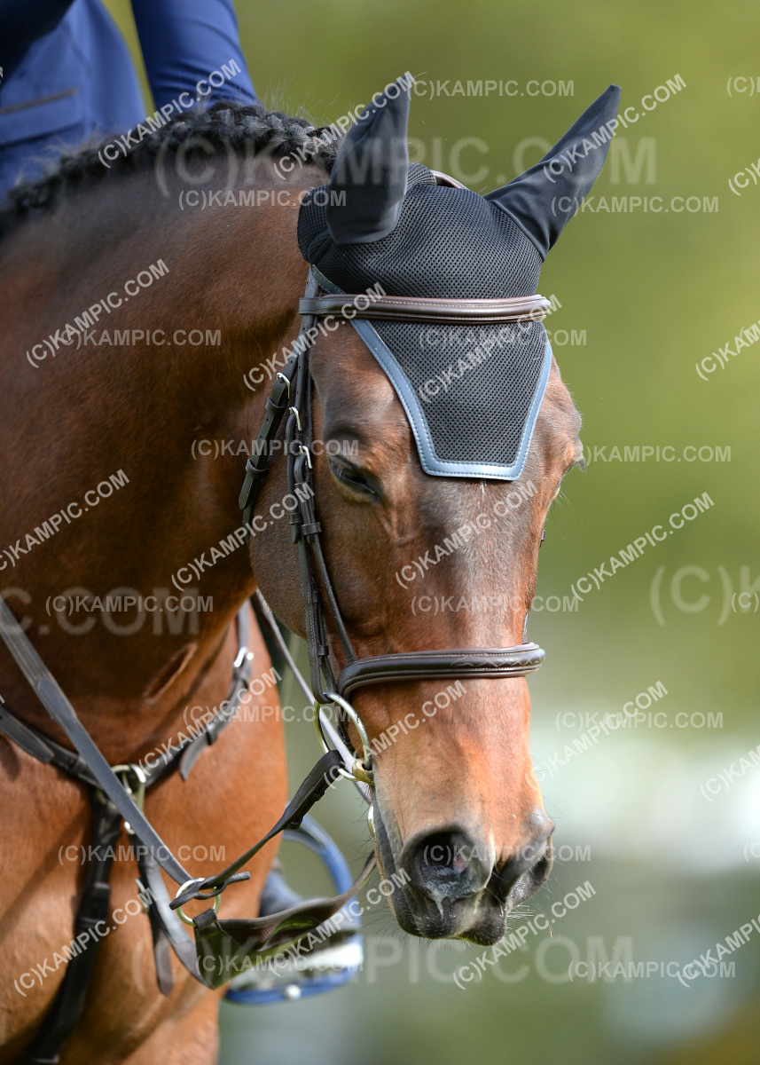 SL_190929_0270
