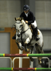 Pony Grand Prix