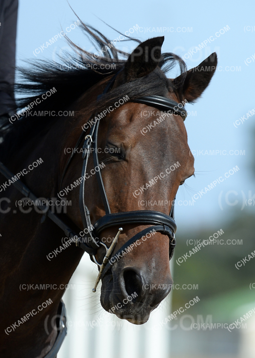 SL_190223_0072