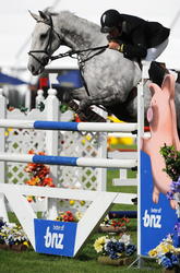 Silver Fern Stakes