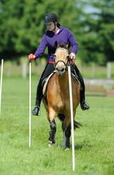 Pony Club Games 2010