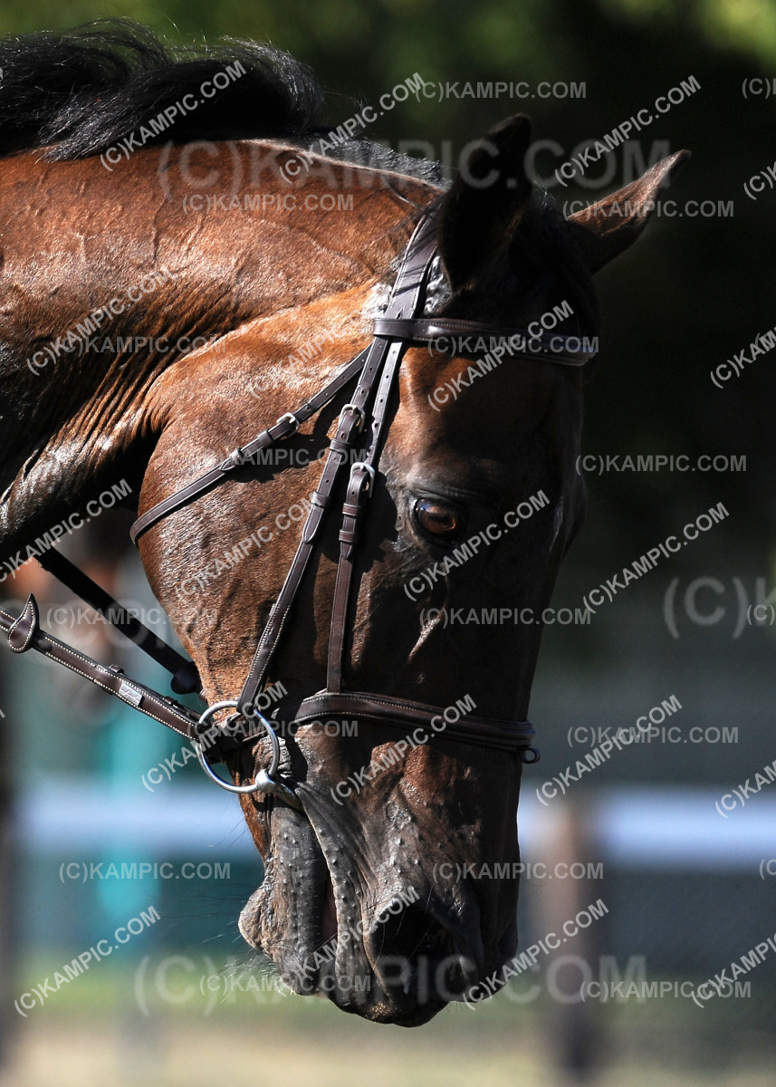 SL_190312_0089