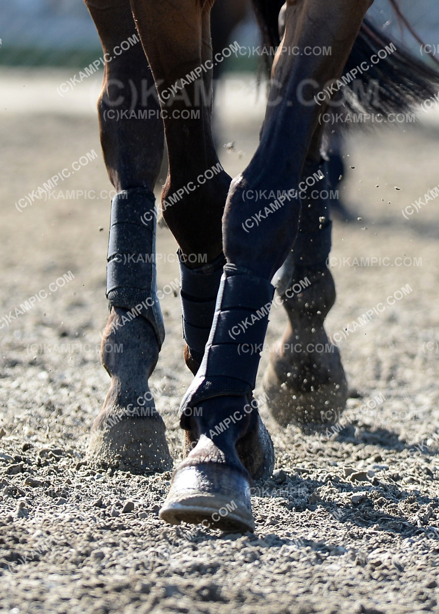 SL_190312_0790
