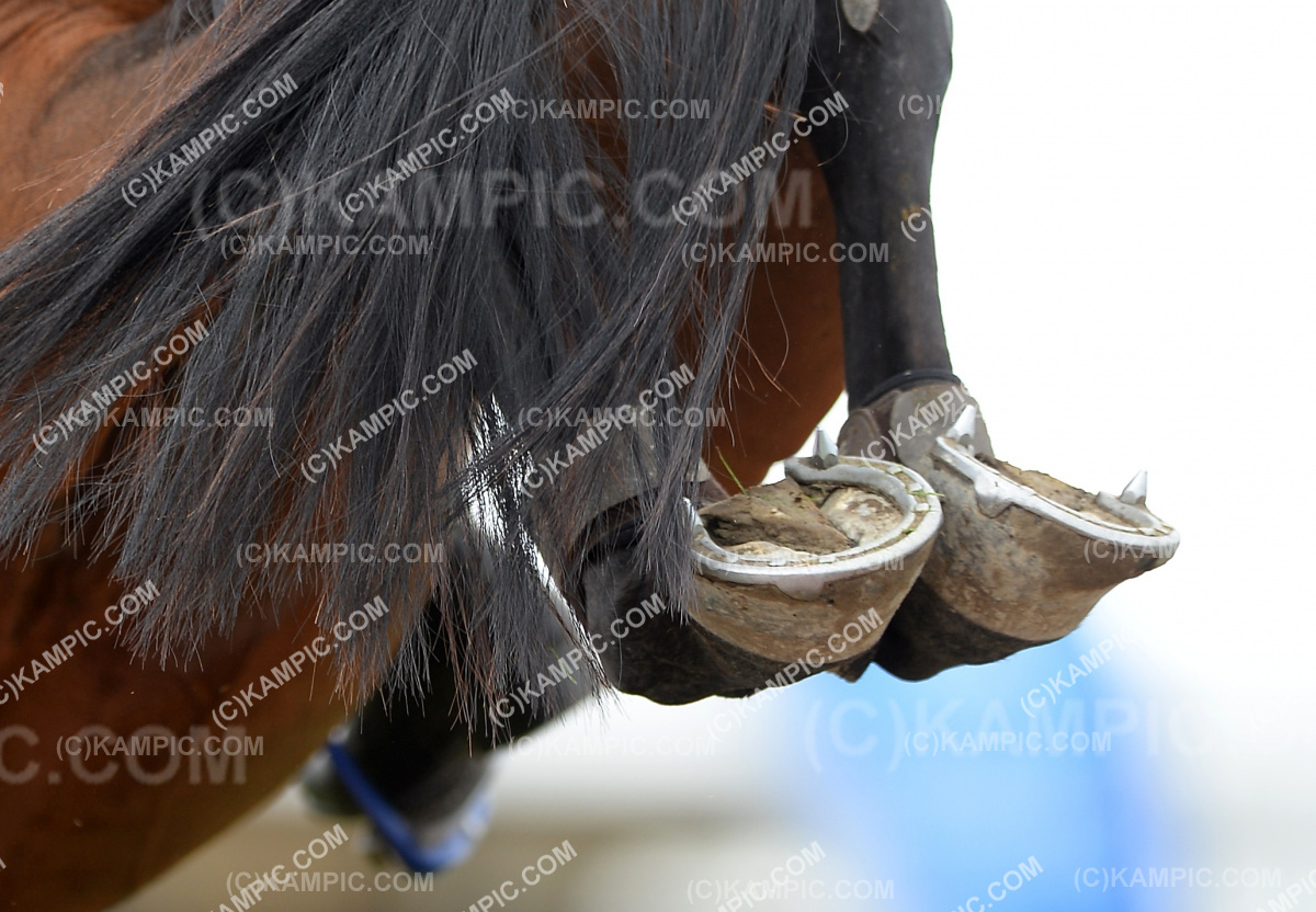 SL_190314_0680