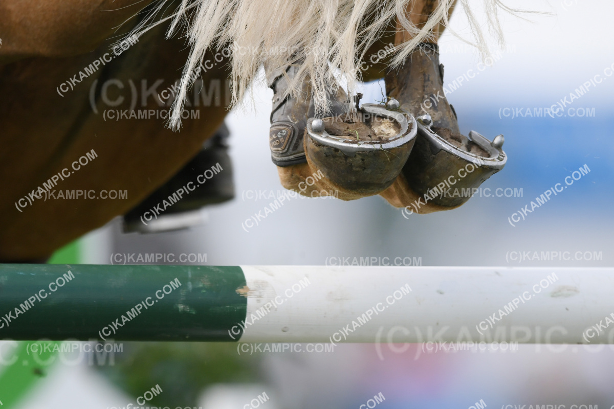 KM_190315_4996