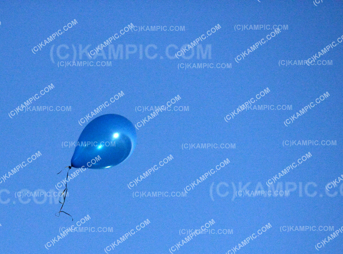 SL_190314_3153
