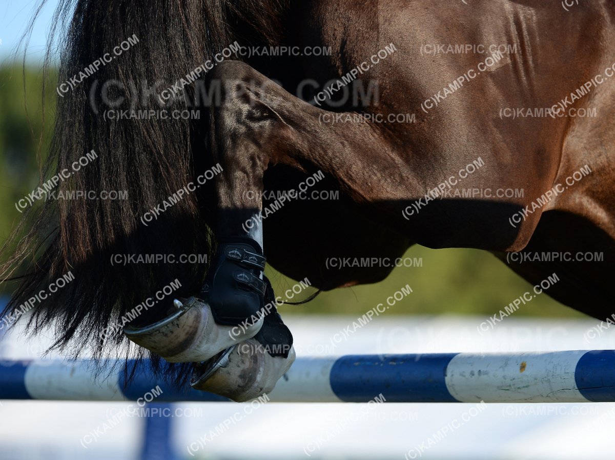 SL_190314_2447