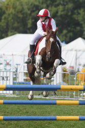 Pony Club Teams