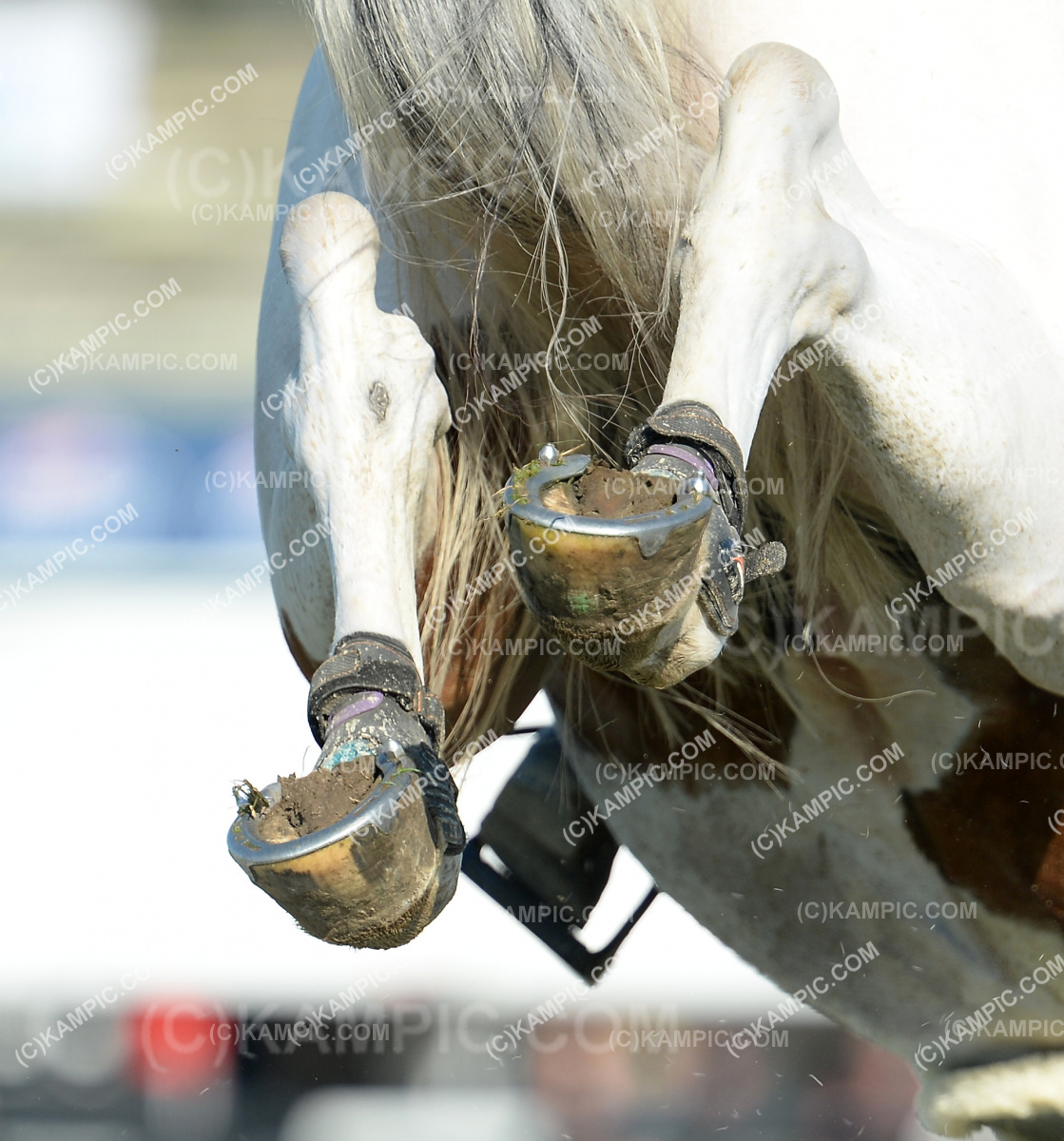 SL_190316_0410
