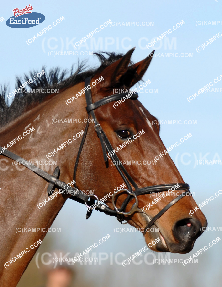 SL_110605_0375