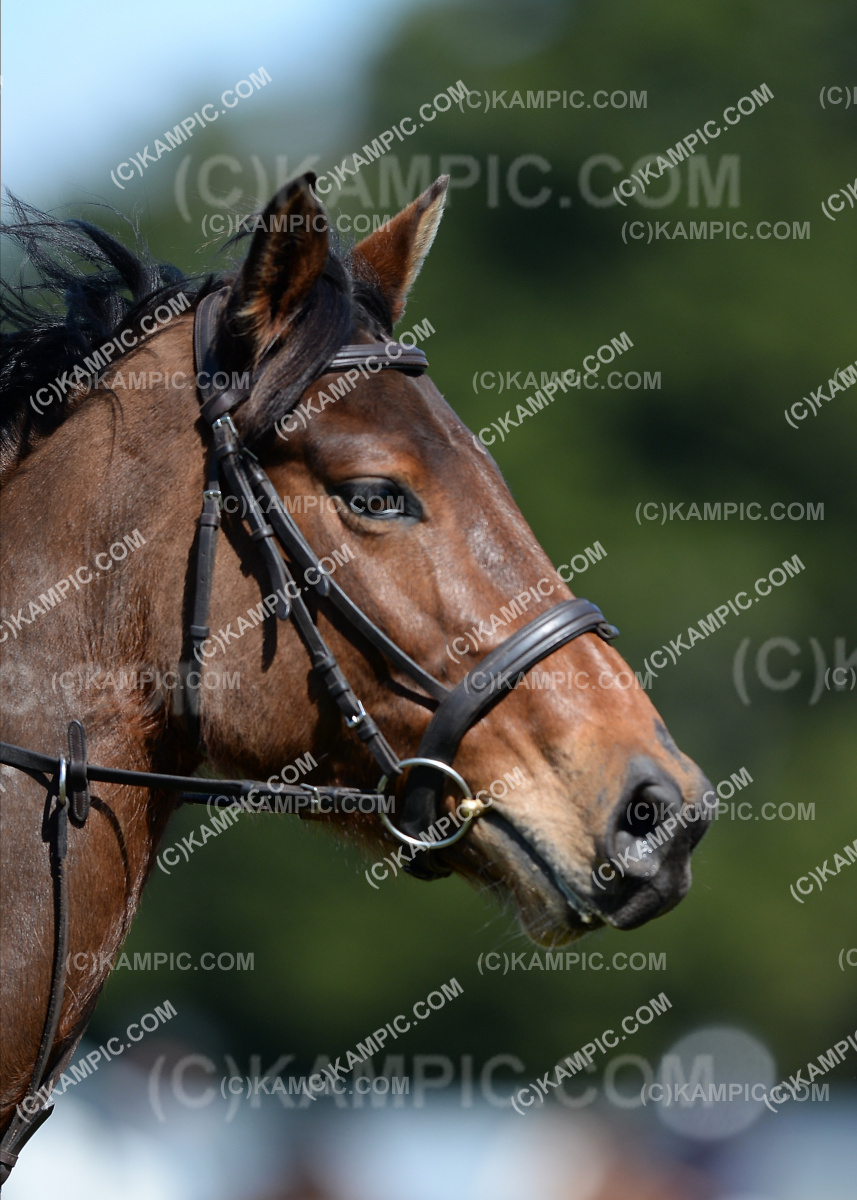 SL_190915_1406