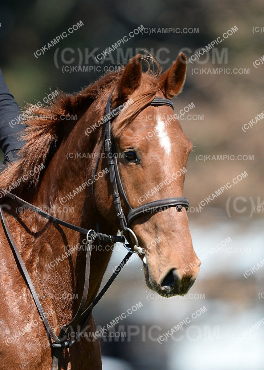 SL_190915_1460