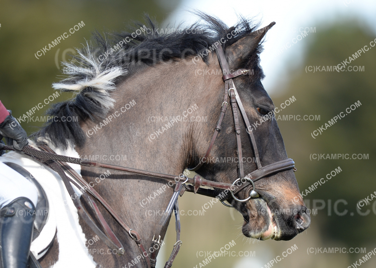 SL_190915_0363