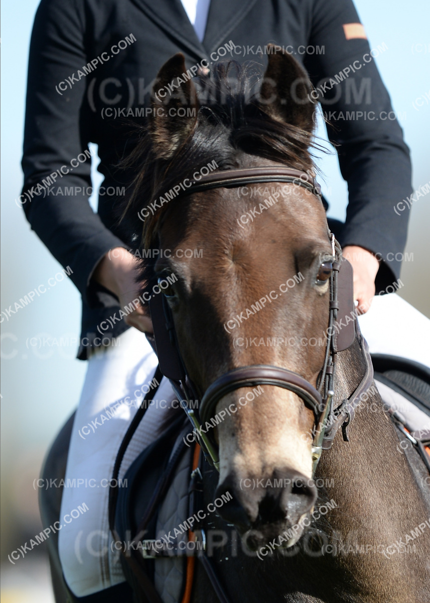SL_190915_3762