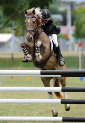 Pony Grand Prix