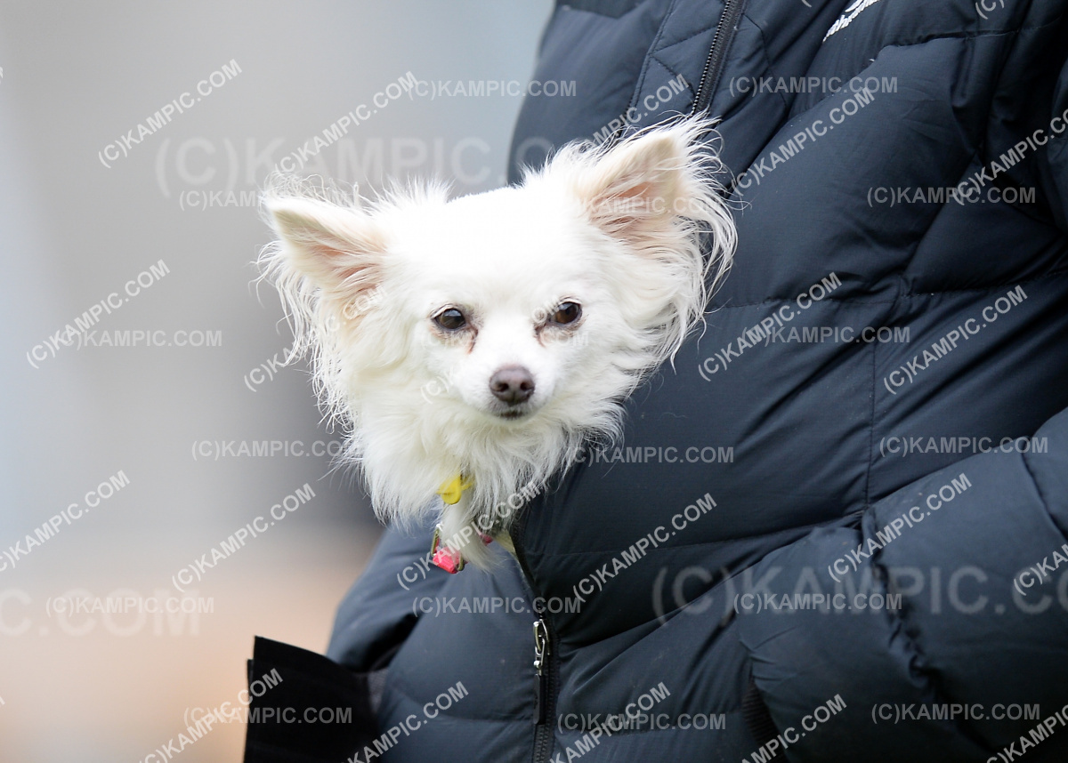 SL_191220_0684