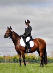 Hawkes Bay Dressage 2011