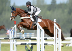 Showjumping 105cm