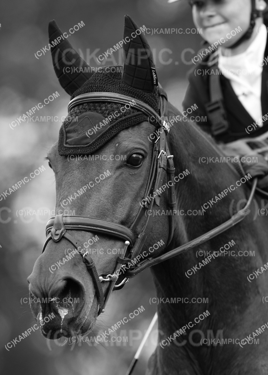 SL_191109_0216b