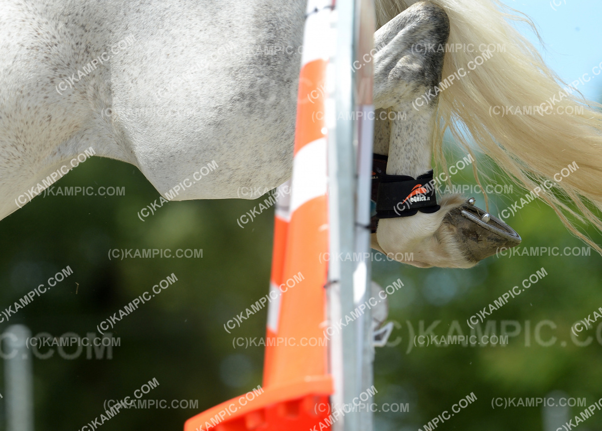 SL_190120_0794