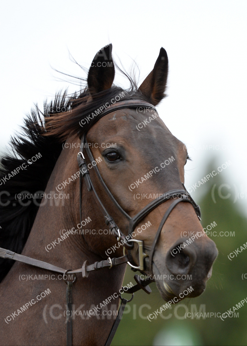 SL_200105_2341