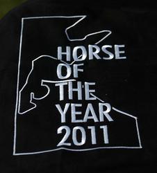7 Year Old Horse of the Year
