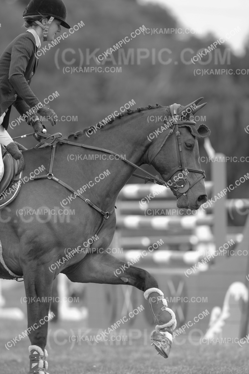 SL_200105_4682