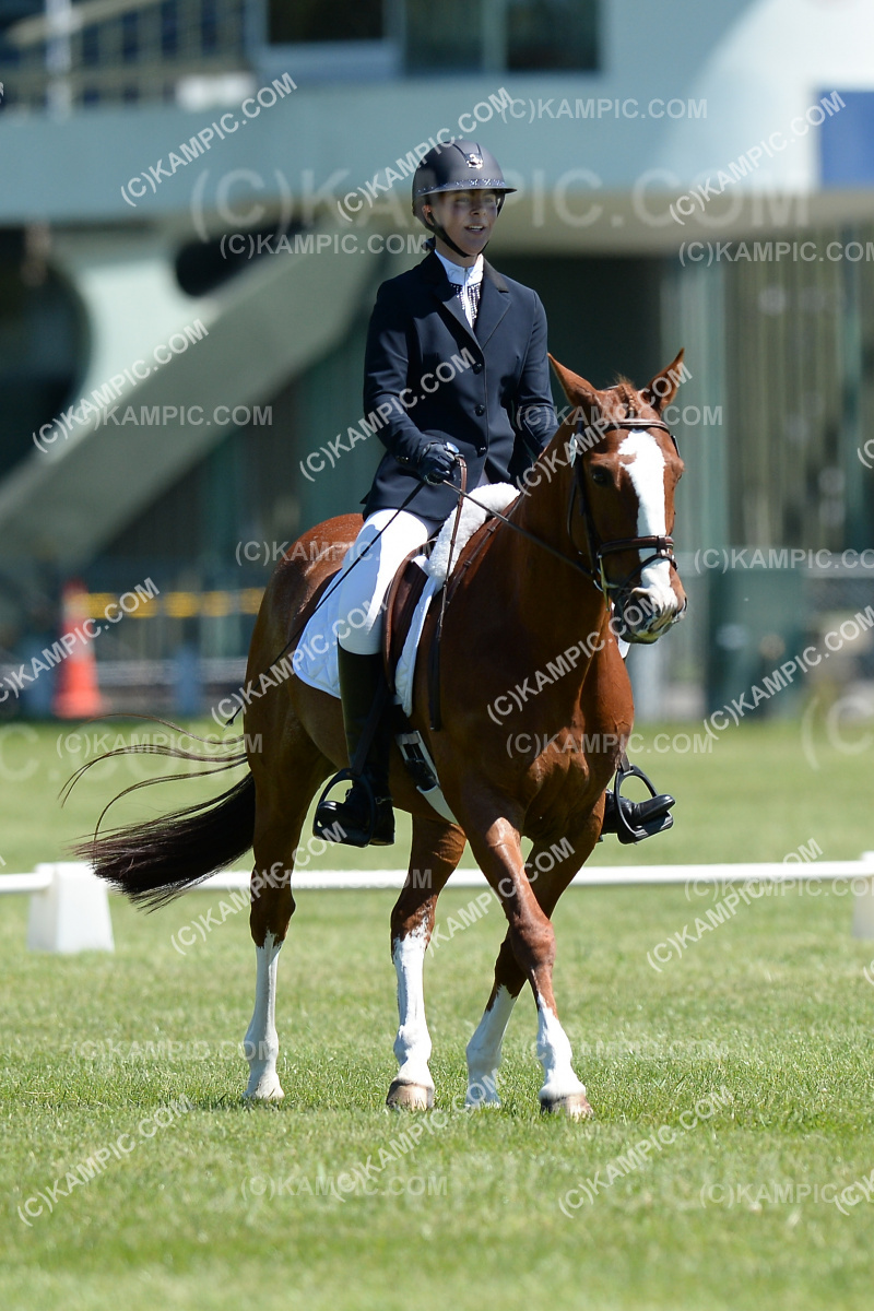 SL_201114_4202