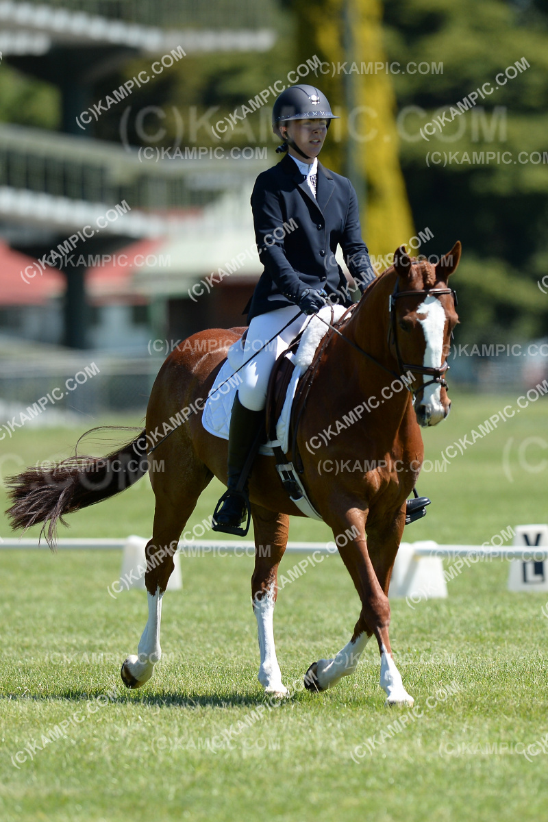 SL_201114_4206