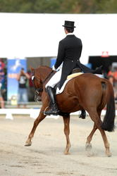 Eventing Dressage