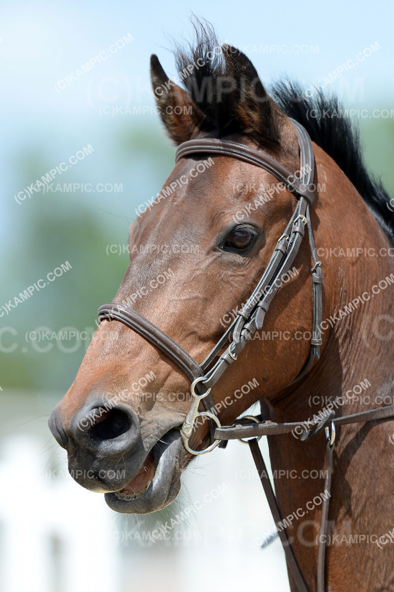 SL_201205_0322