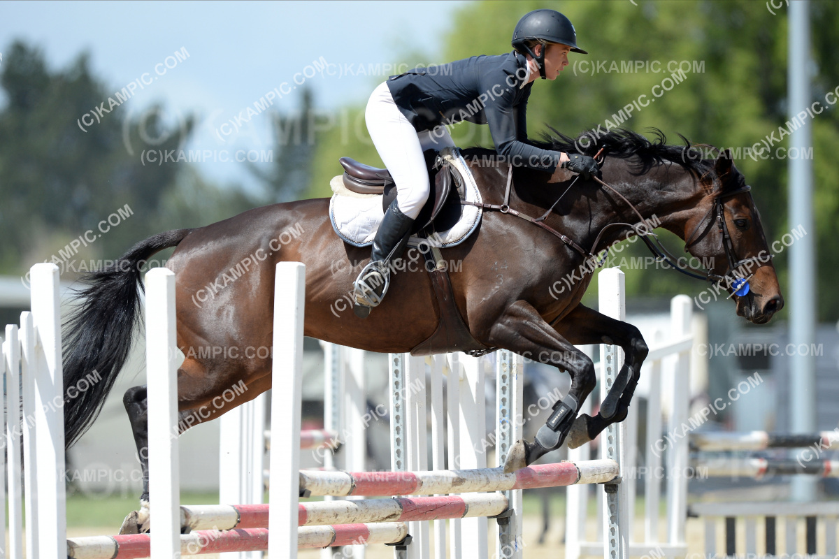 SL_201205_0381