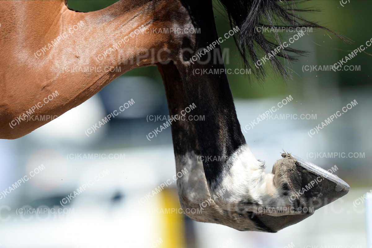 SL_201127_2025