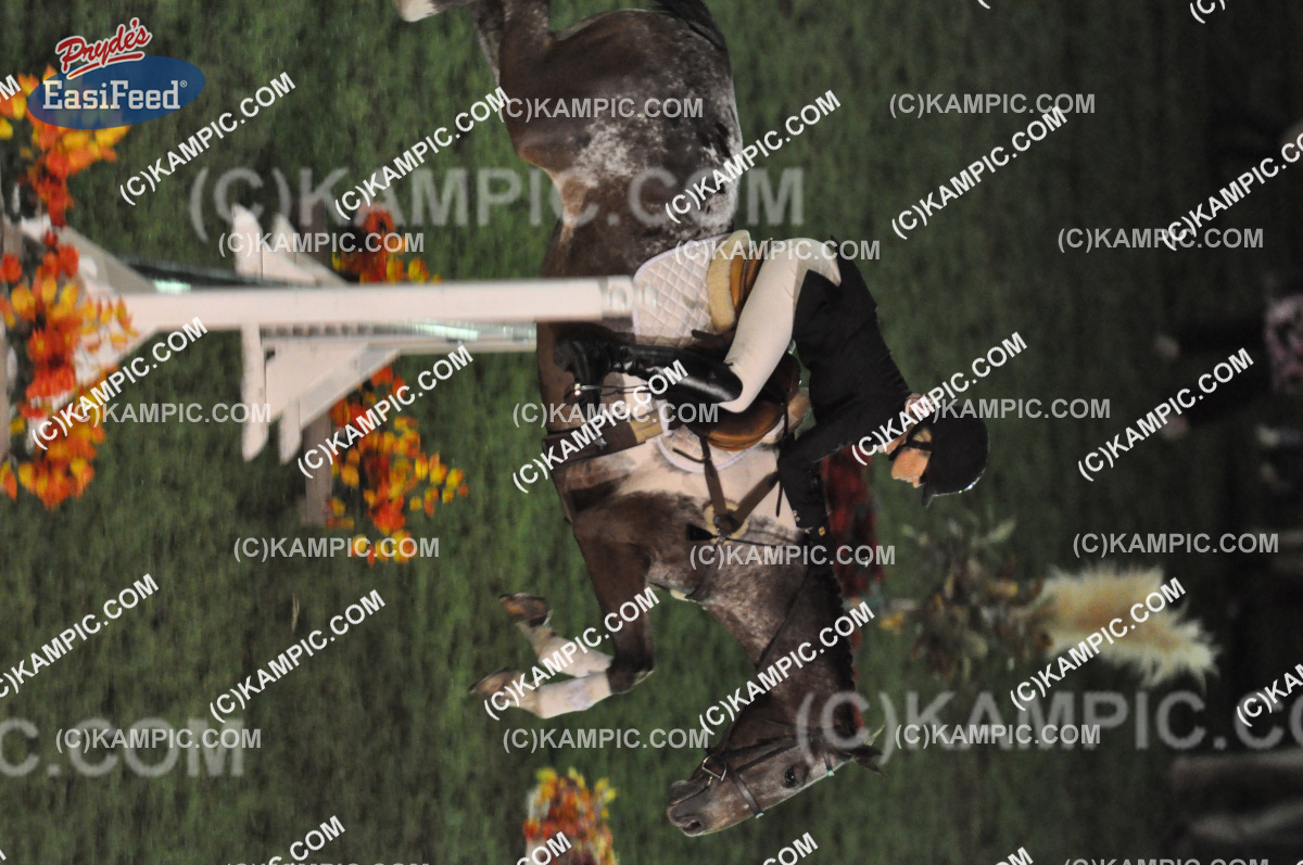 SL_110319_4147
