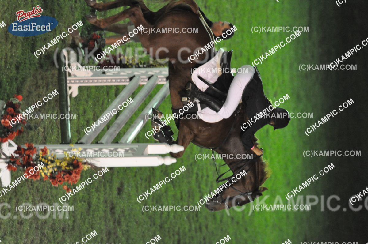 SL_110319_4153