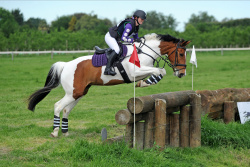 Flaxmere Pony Club ODE 2020