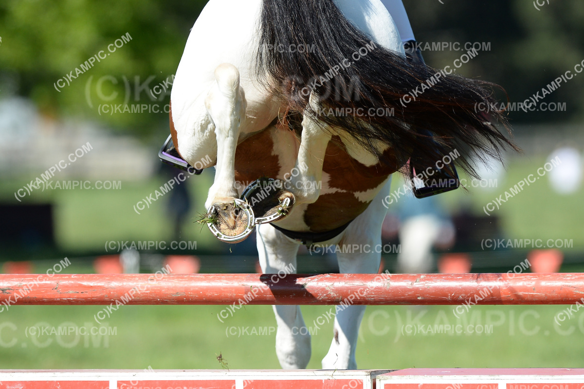 SL_201025_0074