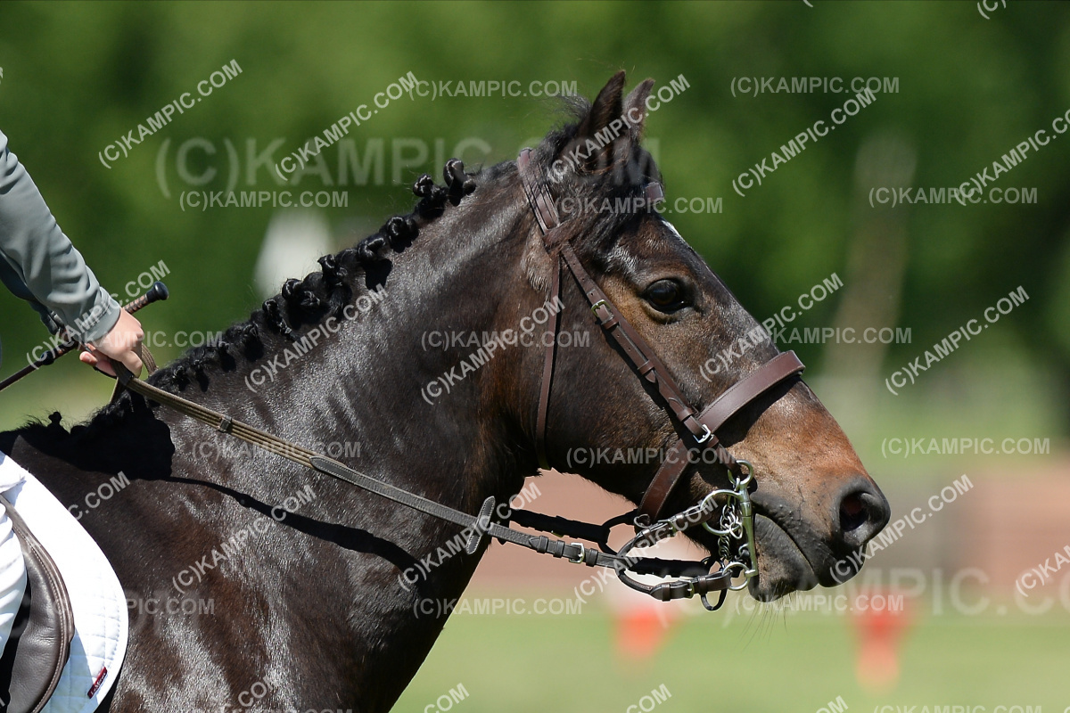 SL_201025_0799