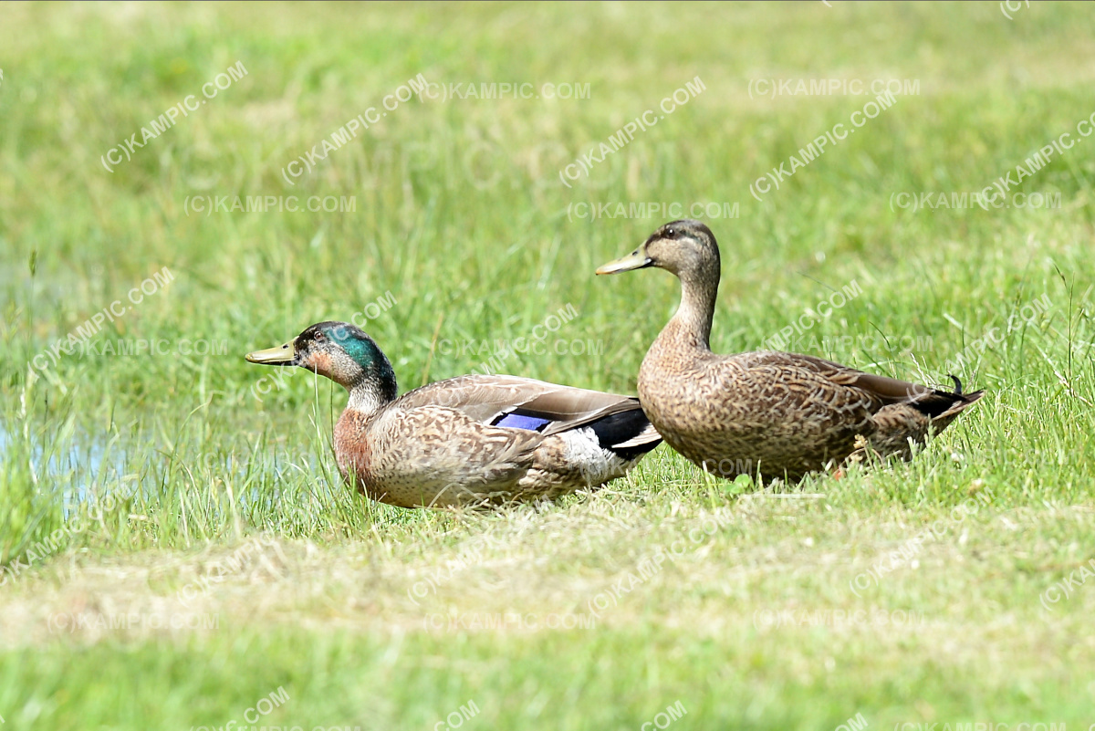 SL_201025_2282