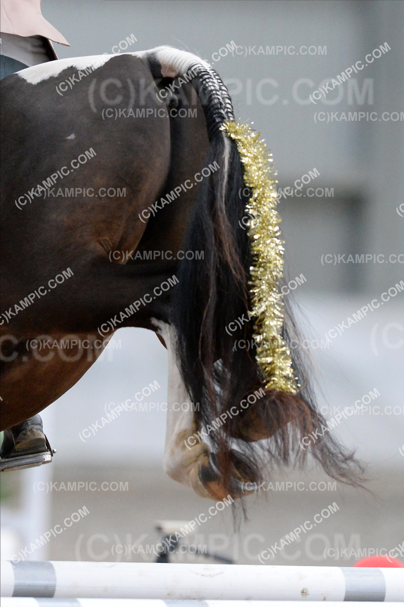 SL_201212_0397