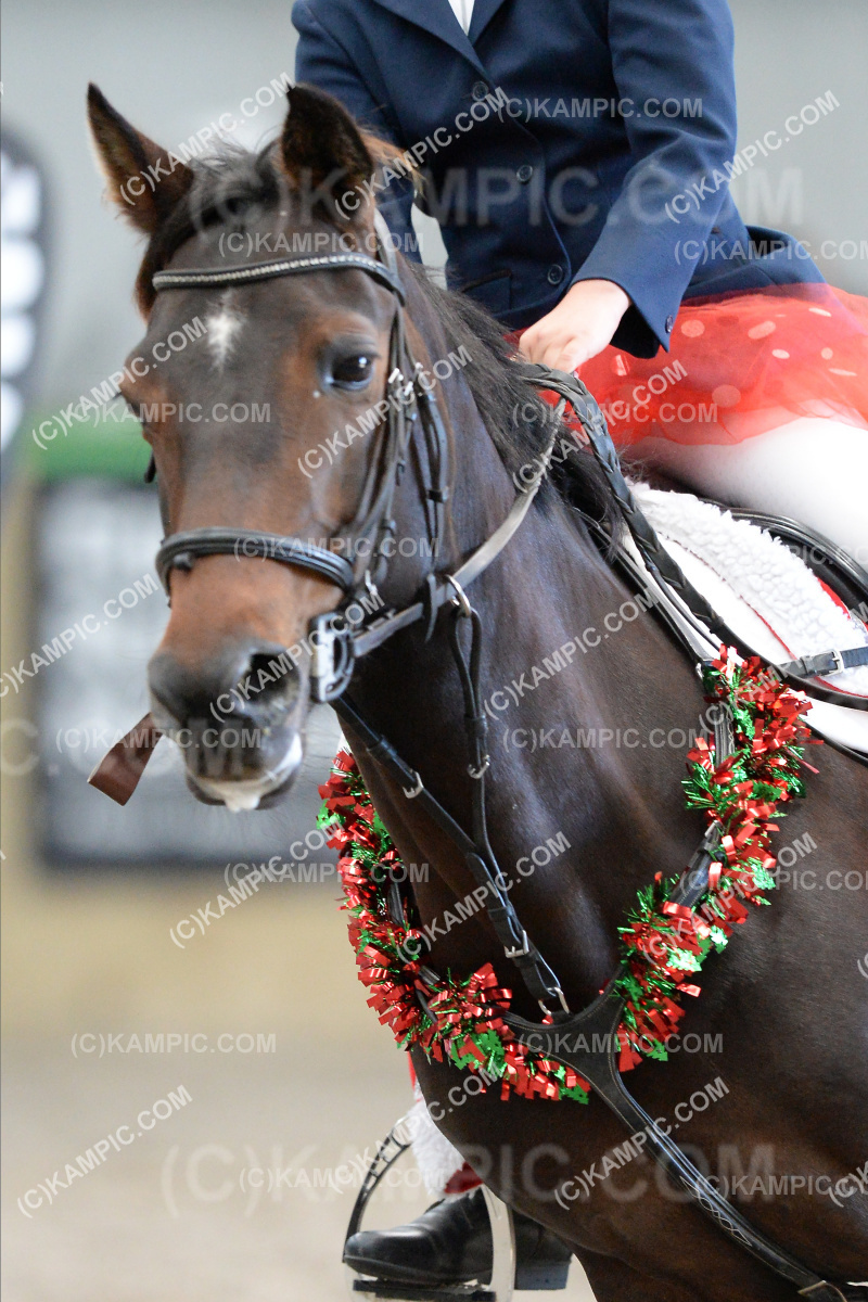 SL_201212_0659