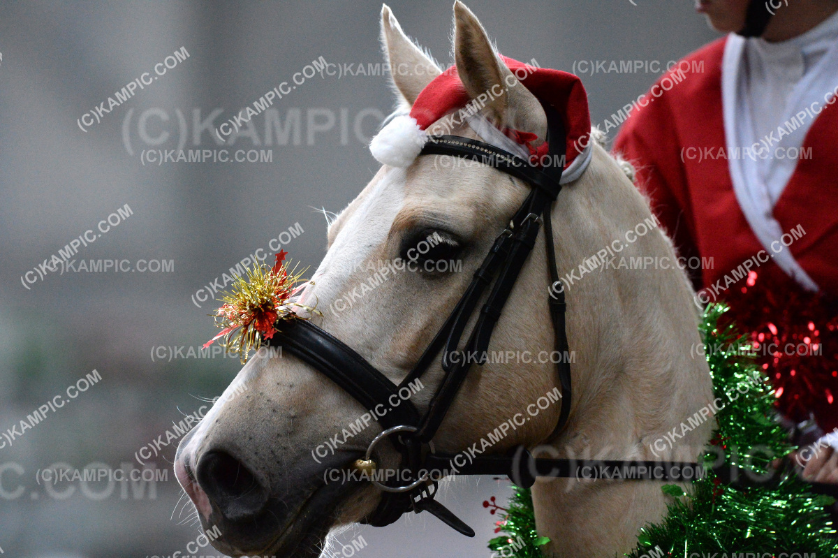 SL_201212_0673