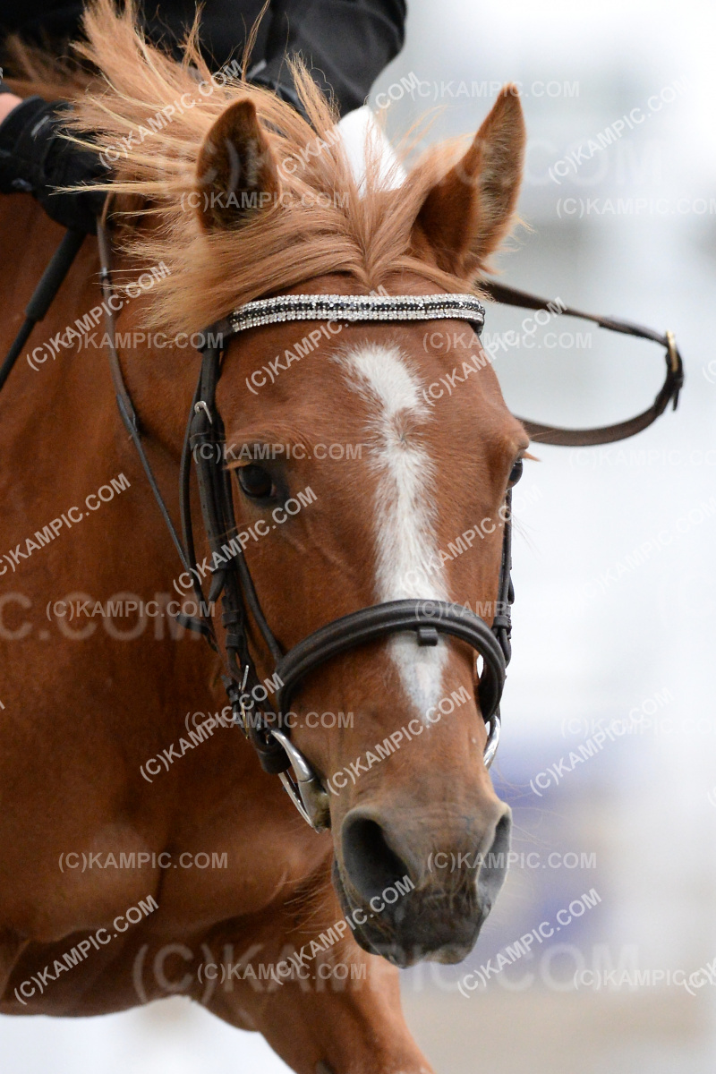 SL_201212_0775