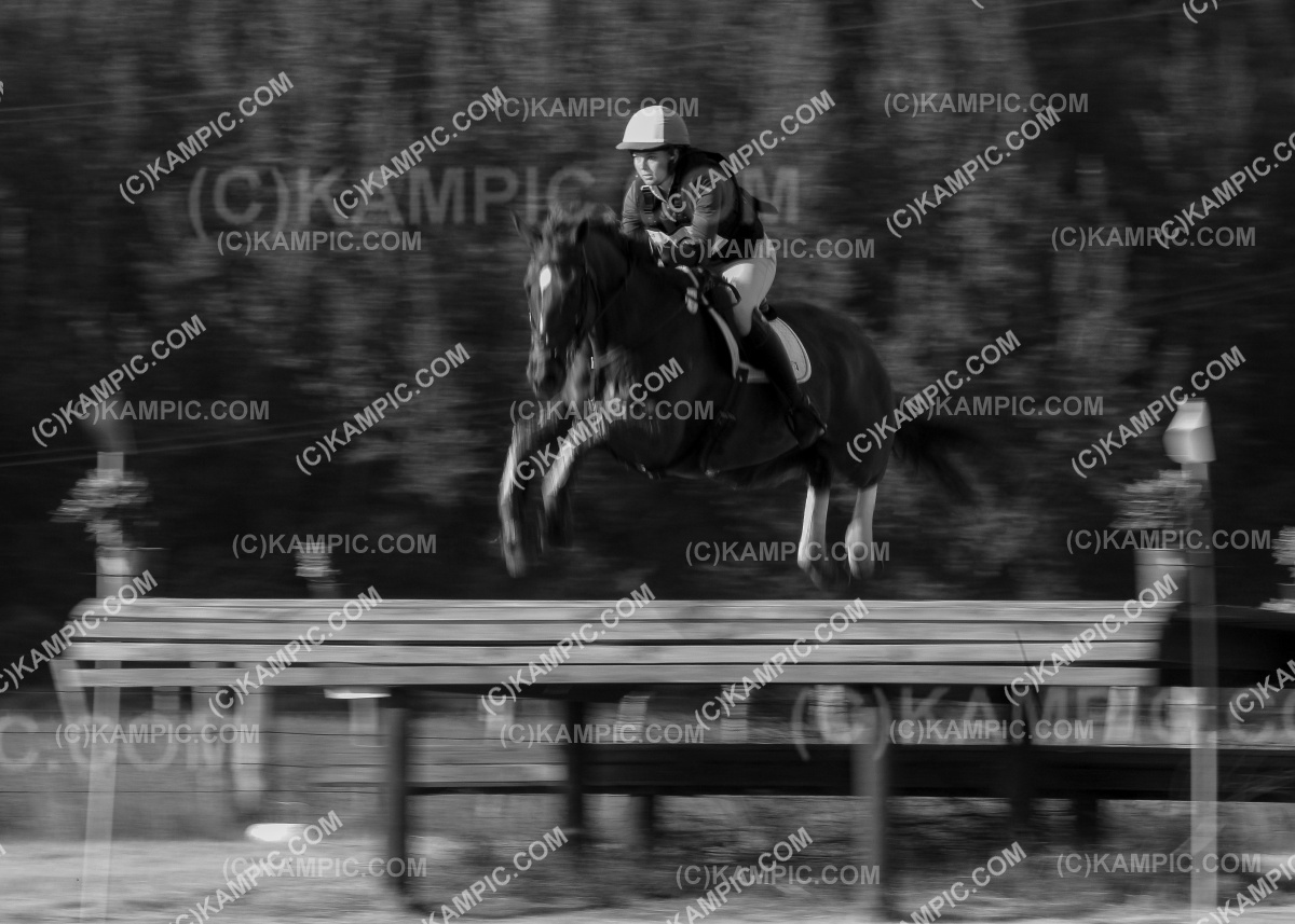 SL_200202_0702-2